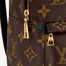 Рюкзак Louis Vuitton Palm Springs Mini Коричневый