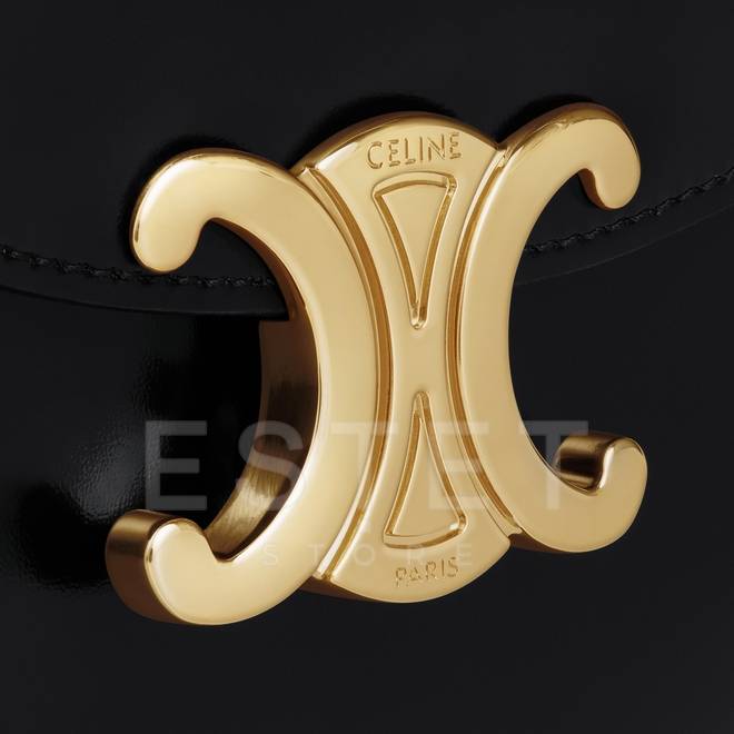 Сумка Celine Mini Besace Triomphe Черная