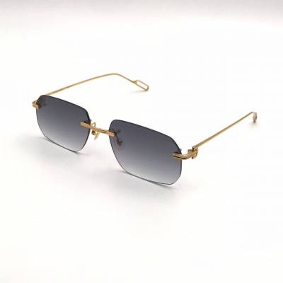 Очки мужские Cartier ES-001604