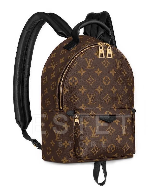 Рюкзак Louis Vuitton Palm Springs Pm Коричневый