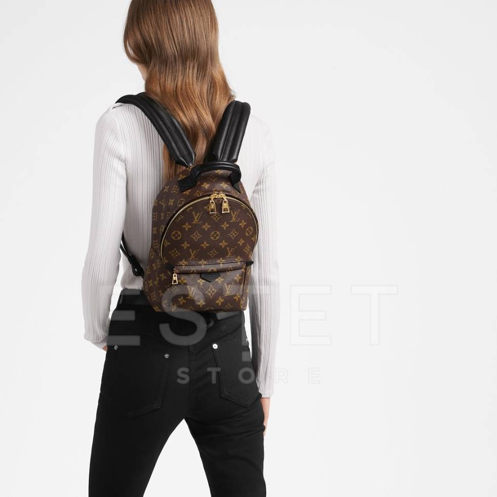 Рюкзак Louis Vuitton Palm Springs Pm Коричневый