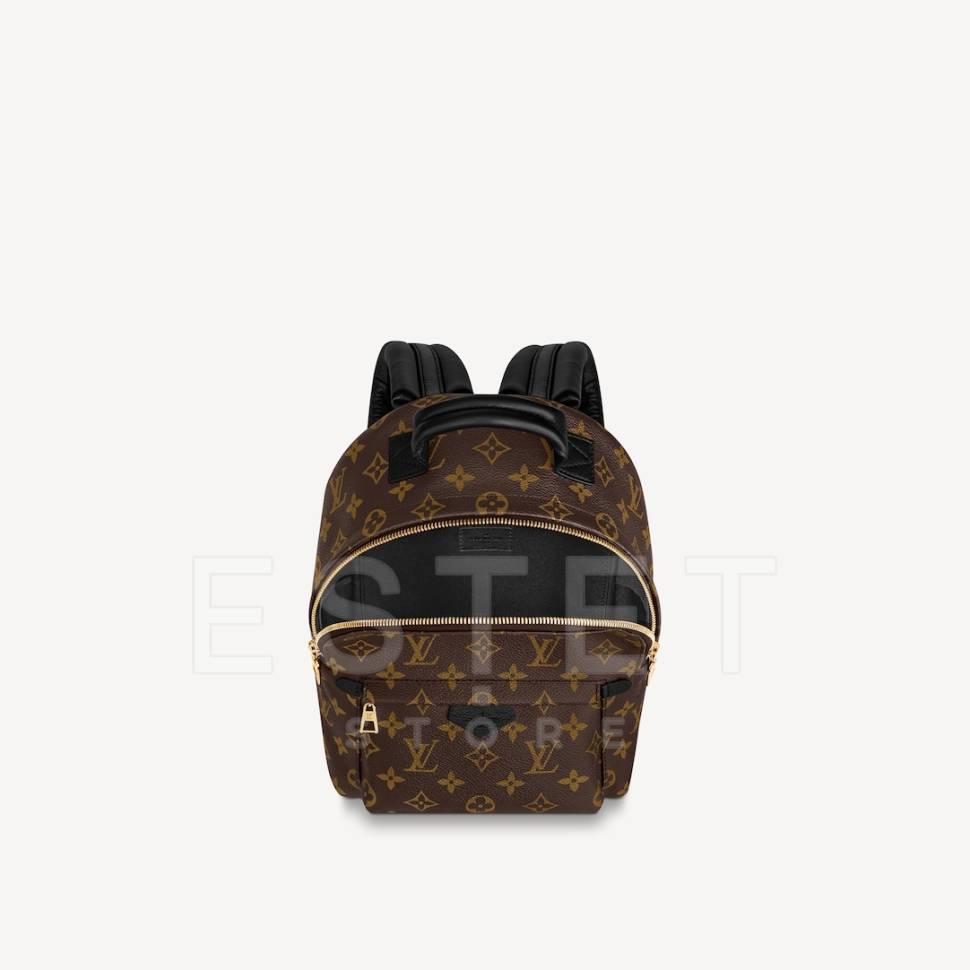 Рюкзак Louis Vuitton Palm Springs Pm Коричневый
