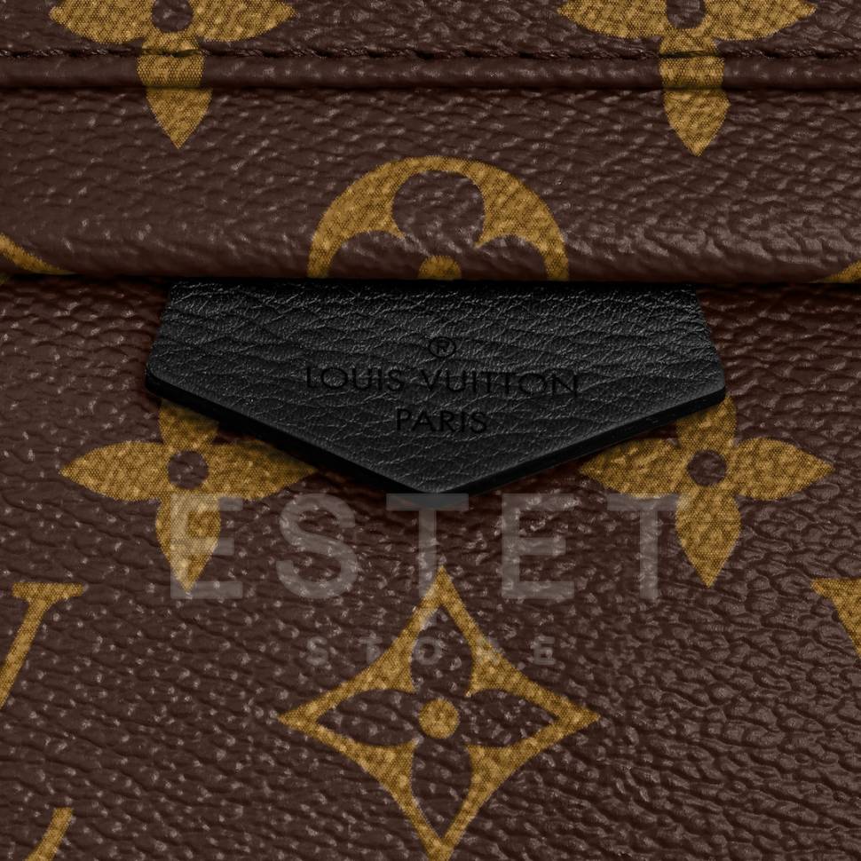 Рюкзак Louis Vuitton Palm Springs Pm Коричневый