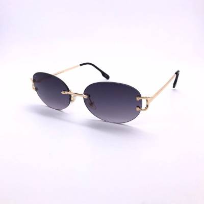 Очки Cartier ES-001812