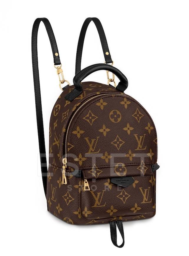 Рюкзак Louis Vuitton Palm Springs Mini Коричневый