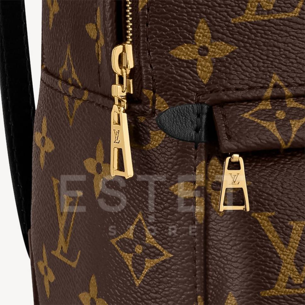 Рюкзак Louis Vuitton Palm Springs Mini Коричневый