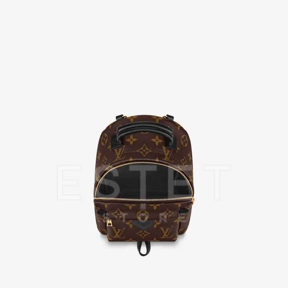 Рюкзак Louis Vuitton Palm Springs Mini Коричневый