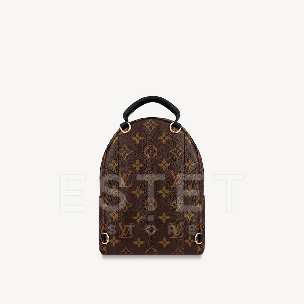 Рюкзак Louis Vuitton Palm Springs Mini Коричневый