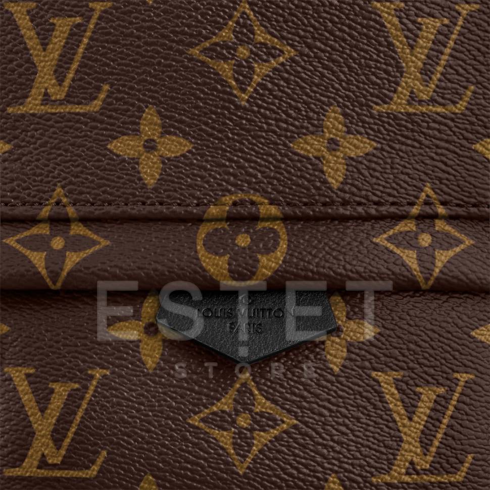 Рюкзак Louis Vuitton Palm Springs Mini Коричневый