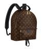 Рюкзак Louis Vuitton Palm Springs Mm Коричневый