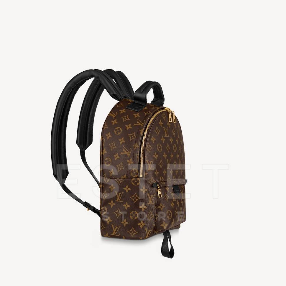 Рюкзак Louis Vuitton Palm Springs Mm Коричневый