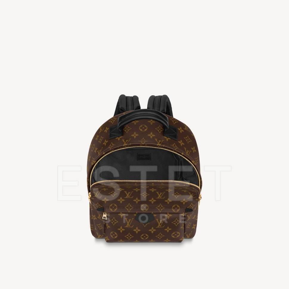 Рюкзак Louis Vuitton Palm Springs Mm Коричневый