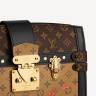 Сумка Louis Vuitton Trunk Коричневая