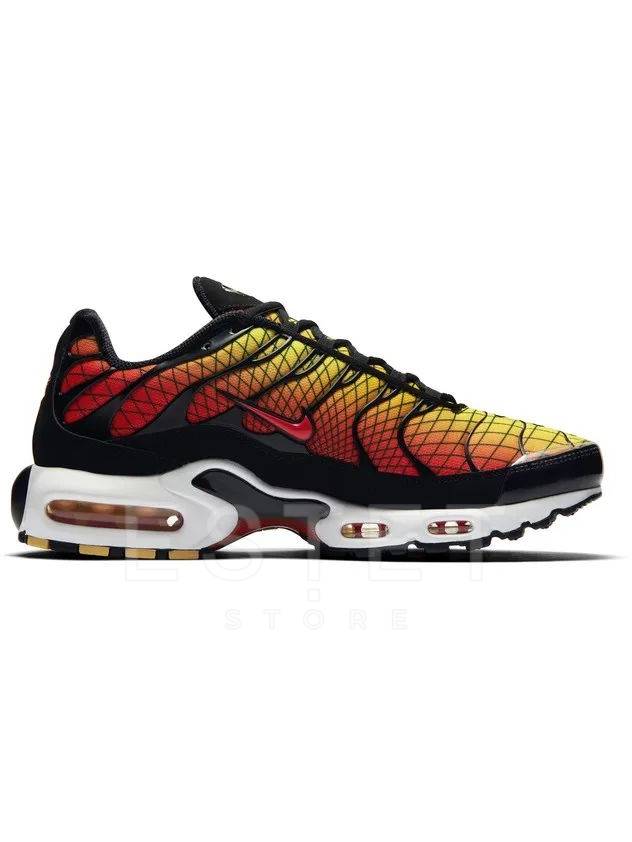 Кроссовки Nike Air Max Plus Tn Se Синие