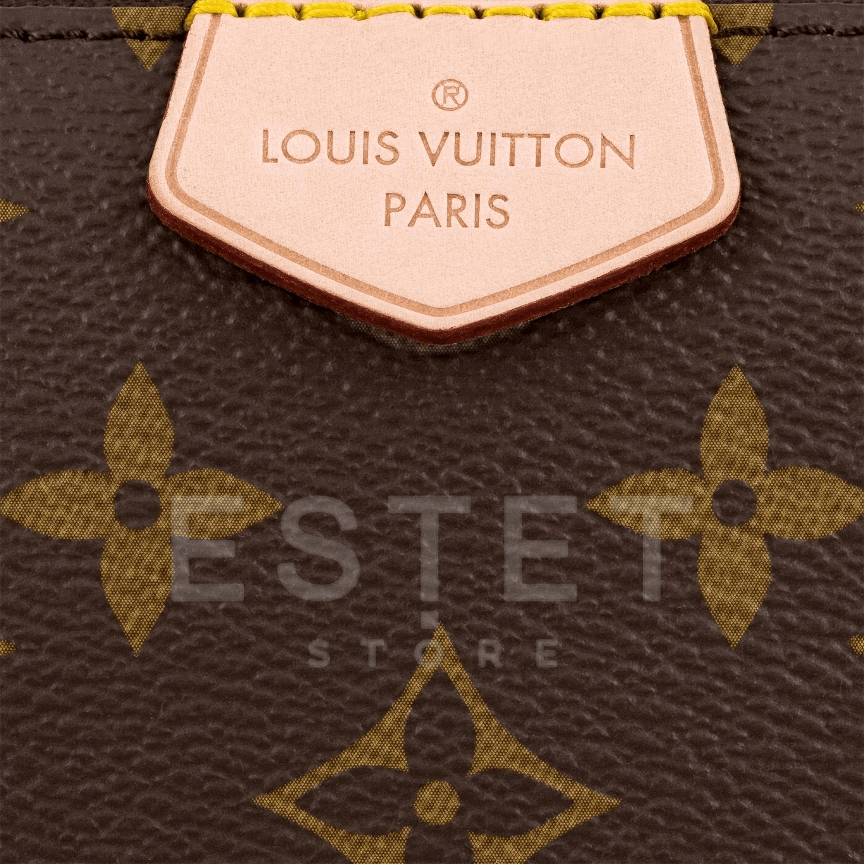 Сумка Louis Vuitton Multi Pochette