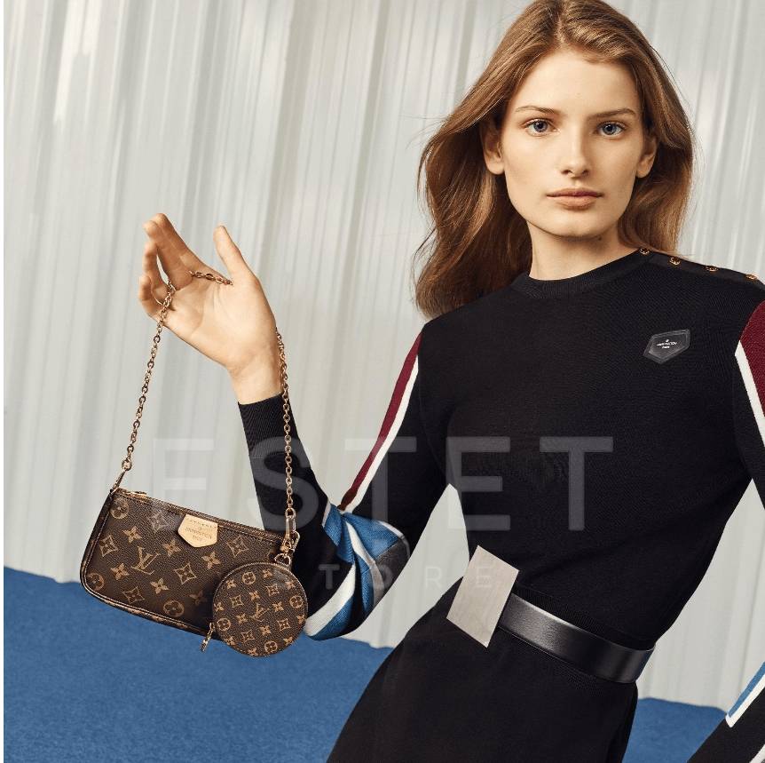 Сумка Louis Vuitton Multi Pochette