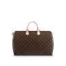 Сумка Louis Vuitton Speedy 40