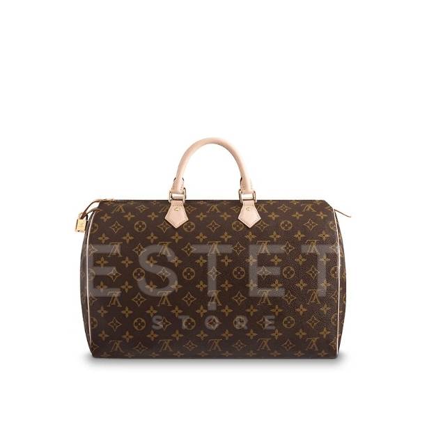 Сумка Louis Vuitton Speedy 40