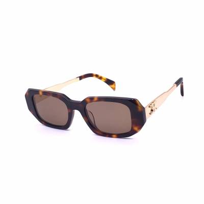 Очки Celine ES-001935