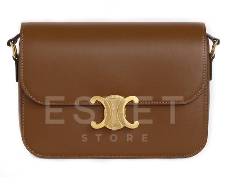 Сумка Celine Medium Triomphe Bag Коричневая