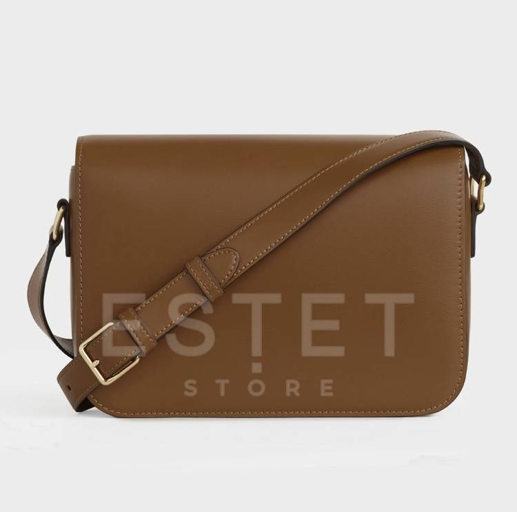 Сумка Celine Medium Triomphe Bag Коричневая
