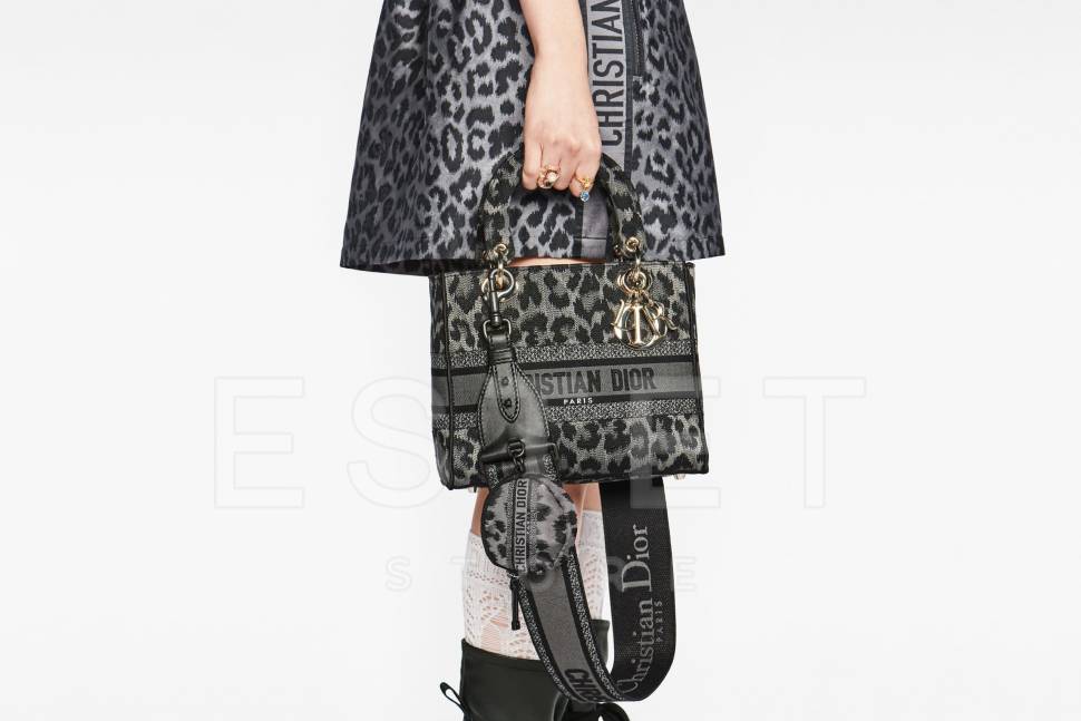 Сумка Dior Lady D-lite Серая