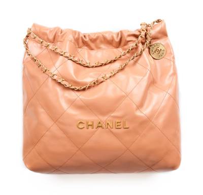 Сумка Chanel 22 Бежевая