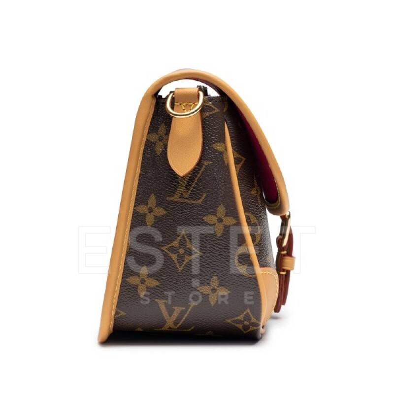Сумка Louis Vuitton Diane Коричневая