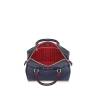 Сумка Louis Vuitton Speedy 25