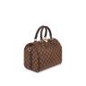 Сумка Louis Vuitton Speedy 25