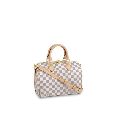 Сумка Louis Vuitton Speedy 25