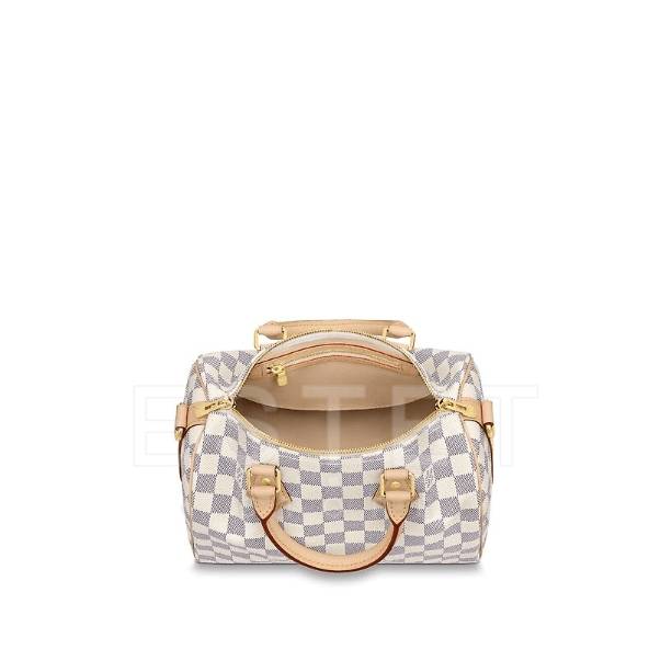 Сумка Louis Vuitton Speedy 25