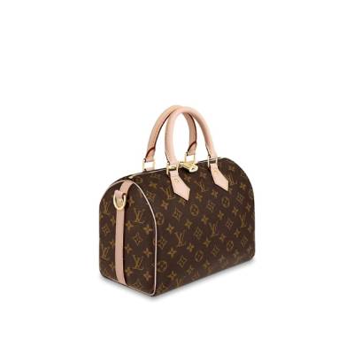 Сумка Louis Vuitton Speedy 25