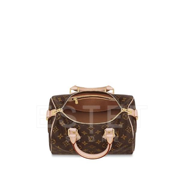 Сумка Louis Vuitton Speedy 25