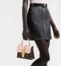 Сумка Louis Vuitton Locky Bb Розовая