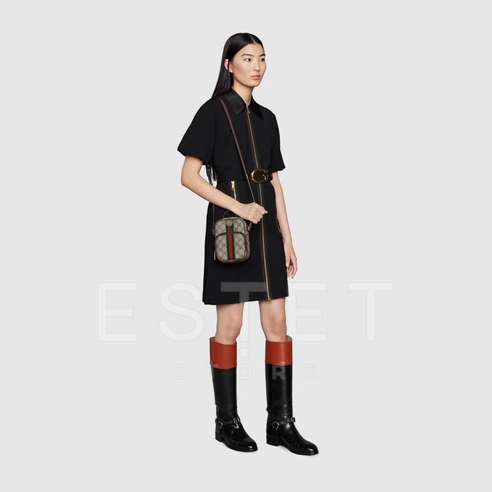 Сумка Gucci Ophidia Коричневая