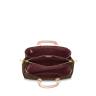 Сумка Louis Vuitton Soufflot Mm