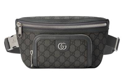 Сумка Gucci Ophidia Серая