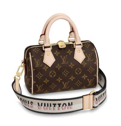 Сумка Louis Vuitton Speedy 20 Коричневая