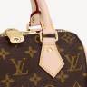 Сумка Louis Vuitton Speedy 20 Коричневая