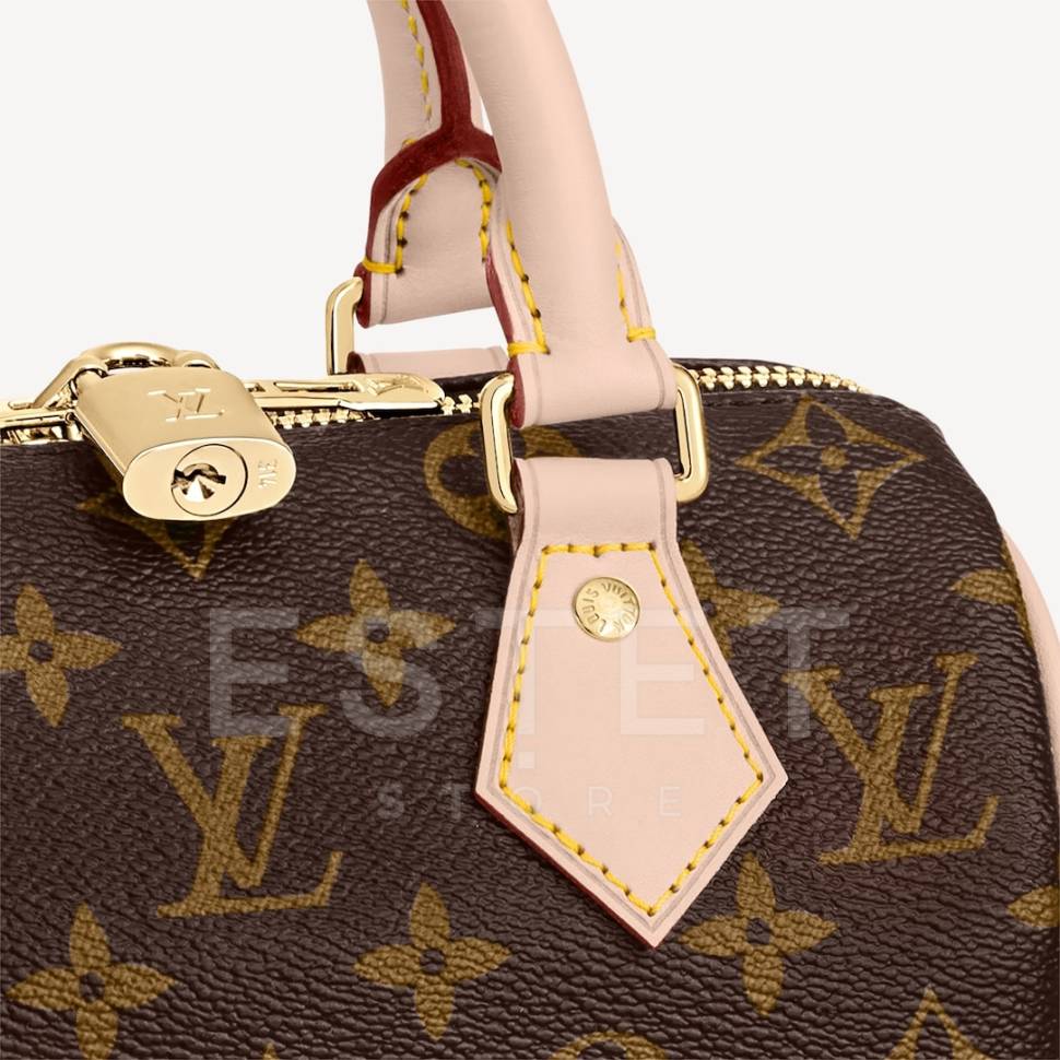 Сумка Louis Vuitton Speedy 20 Коричневая