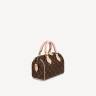 Сумка Louis Vuitton Speedy 20 Коричневая