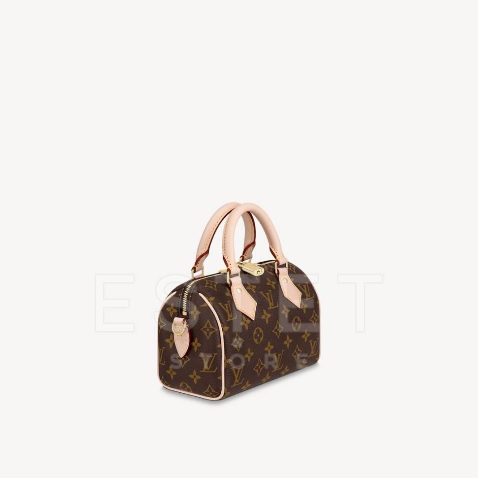 Сумка Louis Vuitton Speedy 20 Коричневая