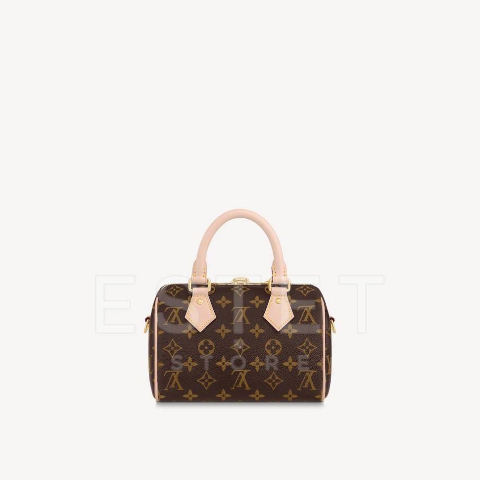 Сумка Louis Vuitton Speedy 20 Коричневая