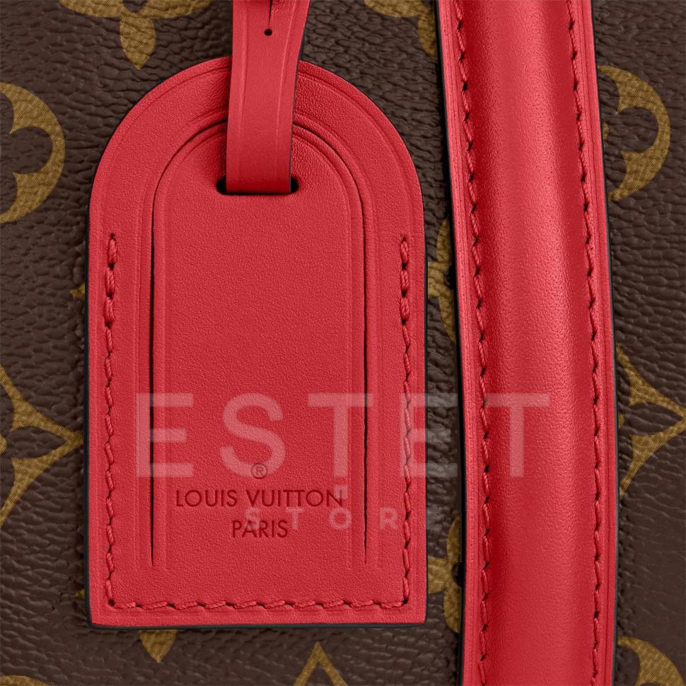 Сумка Louis Vuitton Soufflot Mm