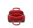 Сумка Louis Vuitton Soufflot Mm