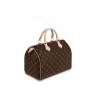 Сумка Louis Vuitton Speedy 30