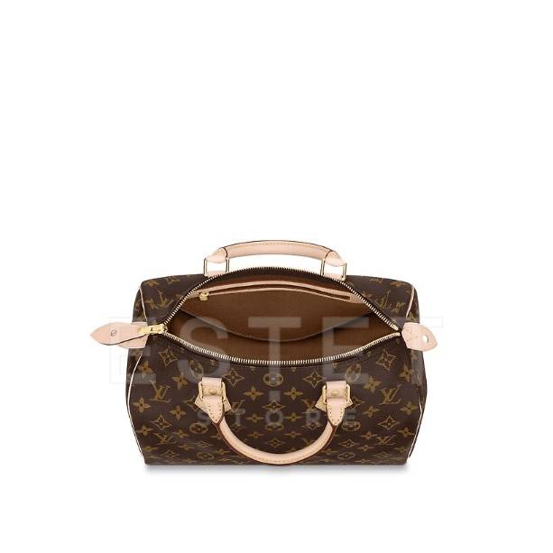 Сумка Louis Vuitton Speedy 30