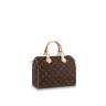 Сумка Louis Vuitton Speedy 25