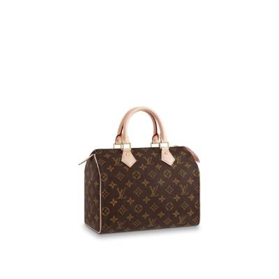 Сумка Louis Vuitton Speedy 25